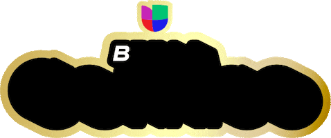 Brillo Sticker by Univision