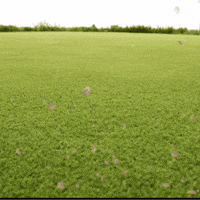 Snail GIF by TeaCosyFolk