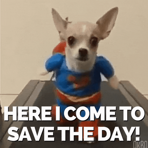 juliecooper222 giphyupload dog hero superman GIF