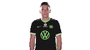 E Sports Sport Sticker by VfL Wolfsburg