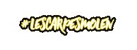 LesCarpesVig music dj disco idea Sticker
