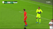 Liga Mx Football GIF by MiSelecciónMX