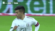 Liga Mx Football GIF by MiSelecciónMX