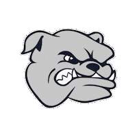 carrollbulldogs carrollbulldogs carrollhigh archbishopcarroll carroll bulldogs Sticker