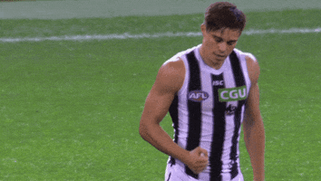 football sport GIF by CollingwoodFC
