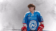 Sport Celebration GIF by Newcastle Northstars
