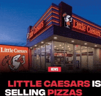 News Breaking GIF
