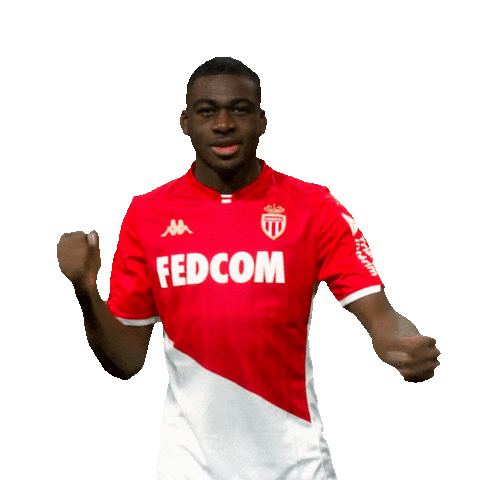 Ligue 1 Football Sticker by AS Monaco