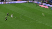 goal tor GIF by Fortuna Düsseldorf