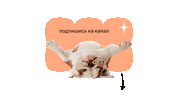 Подписка Подпишись Sticker by ZenPlatform