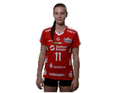Awesome Sport Sticker by DSCVolley