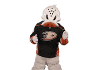 Ice Hockey Sticker by NHL