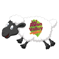 Sheep Lamb Sticker by Avon Valley Adventure & Wildlife Park