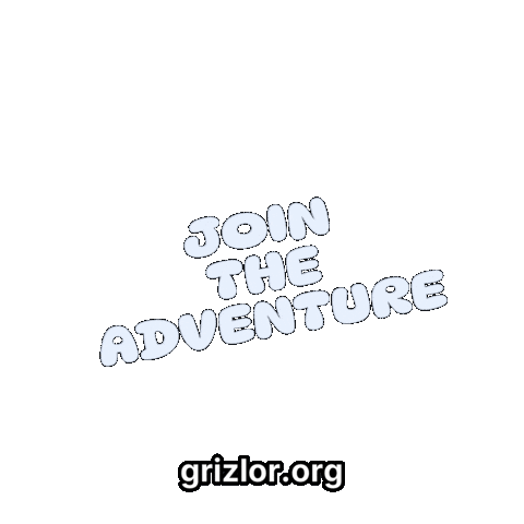 Fun Bear Sticker by grizlor