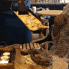 Cheese GIF