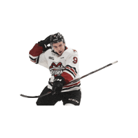 Suzuki Sticker by GuelphStormHockey