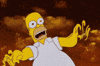 homer simpson simpsons GIF