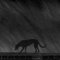 BloomsburyBooks harrypotter20 GIF