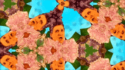 Music Video Queer GIF by ladypat