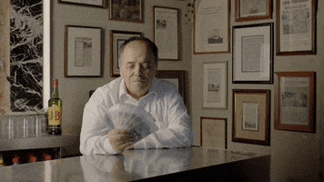 jb_spain money dinero canita canita brava GIF