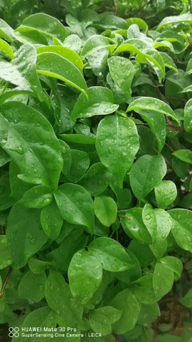 melanieng062c giphyupload GIF