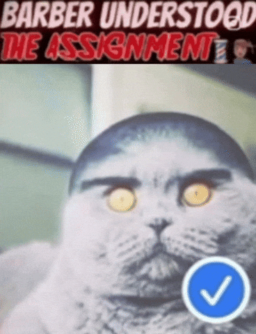 Catbuzz GIF