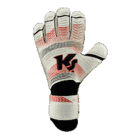 Dominance Goalkeeper Gloves Sticker by KEEPERsport