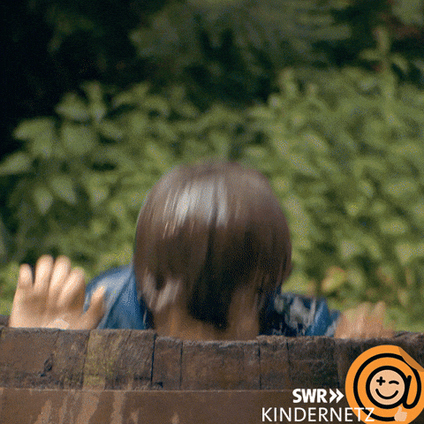 Tiere Bis Unters Dach Summer GIF by SWR Kindernetz