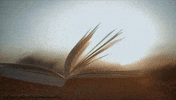 book GIF
