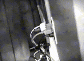 day wall GIF