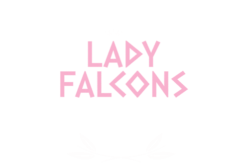 Falcons Sticker by IDOL Cheer