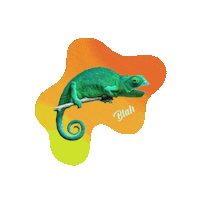 Talk Speech Sticker