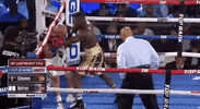 toprank fight boxing fighting espn GIF