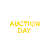 Njauctionday Sticker by Noel Jones Real Estate