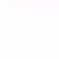 Fourth Of July Usa GIF by Florida Gators