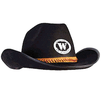 Mechanical Bull Hat Sticker by WoolshedOnHindley