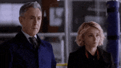 Alan Cumming Instinct GIF by CBS