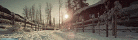 alaska GIF