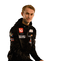 Skijumping Sticker by Hopplandslaget