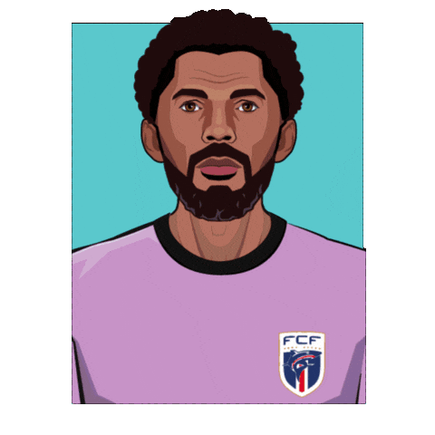 World Cup Football Sticker by Panini America