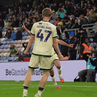 The Den Hug GIF by MillwallFC