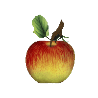 Apple Fruits Sticker