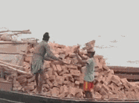 wood GIF