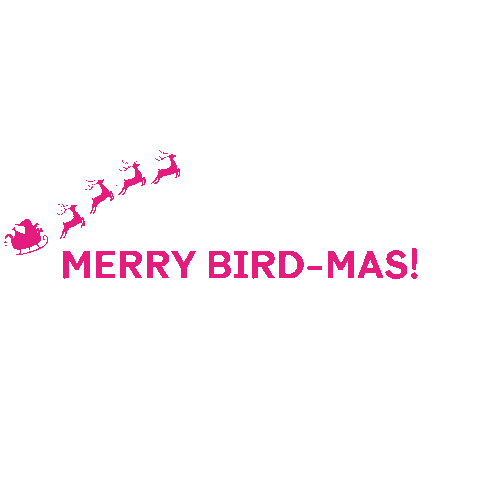 Online Birds Sticker by Online Birds Hotel Marketing Solutions