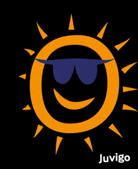 Juvigo sonne ferienlager sommerferien ferienfreizeit GIF