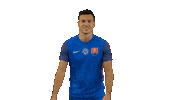 Football Slovakia Sticker by Slovensky futbalovy zvaz