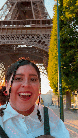 France Travel GIF