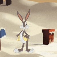 Looney Tunes Animation GIF by HBO Max
