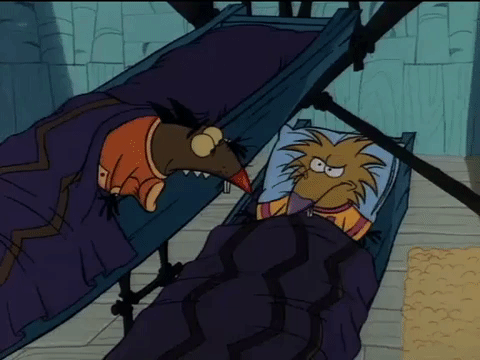 nickrewind giphydvr nicksplat angry beaver giphyab001 GIF