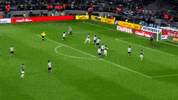 copa do brasil santos GIF by SE Palmeiras